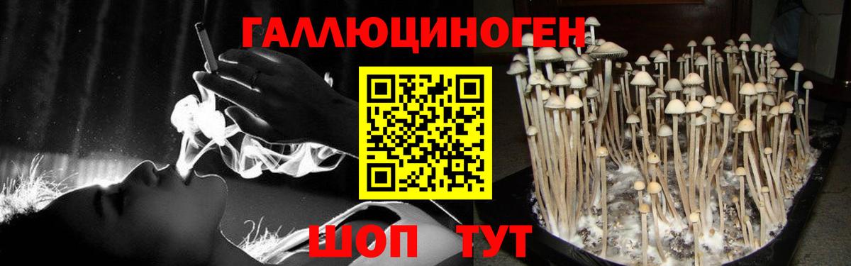 Псилоцибиновые грибы ЛСД  Галлюциногенные грибы Magic Shrooms  Южно-Сахалинск  Вход с VPN 